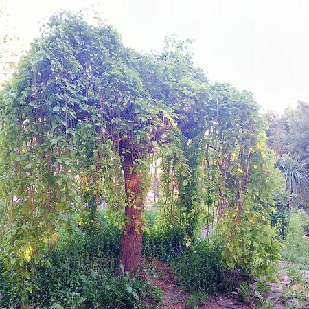 Casa Con Jardin Y Aparcamiento En Viznar, Junto A Granadaヴィラ エクステリア 写真
