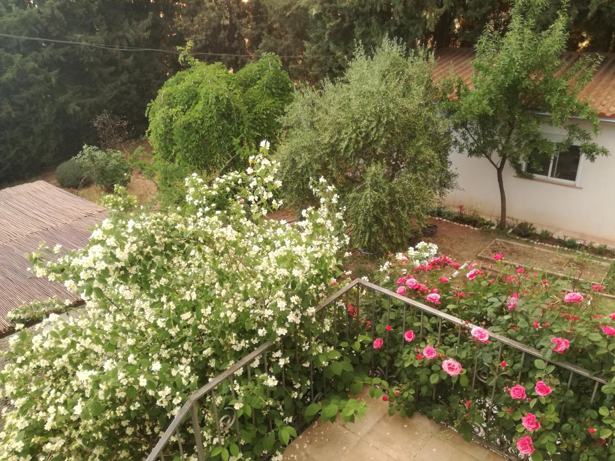Casa Con Jardin Y Aparcamiento En Viznar, Junto A Granadaヴィラ エクステリア 写真
