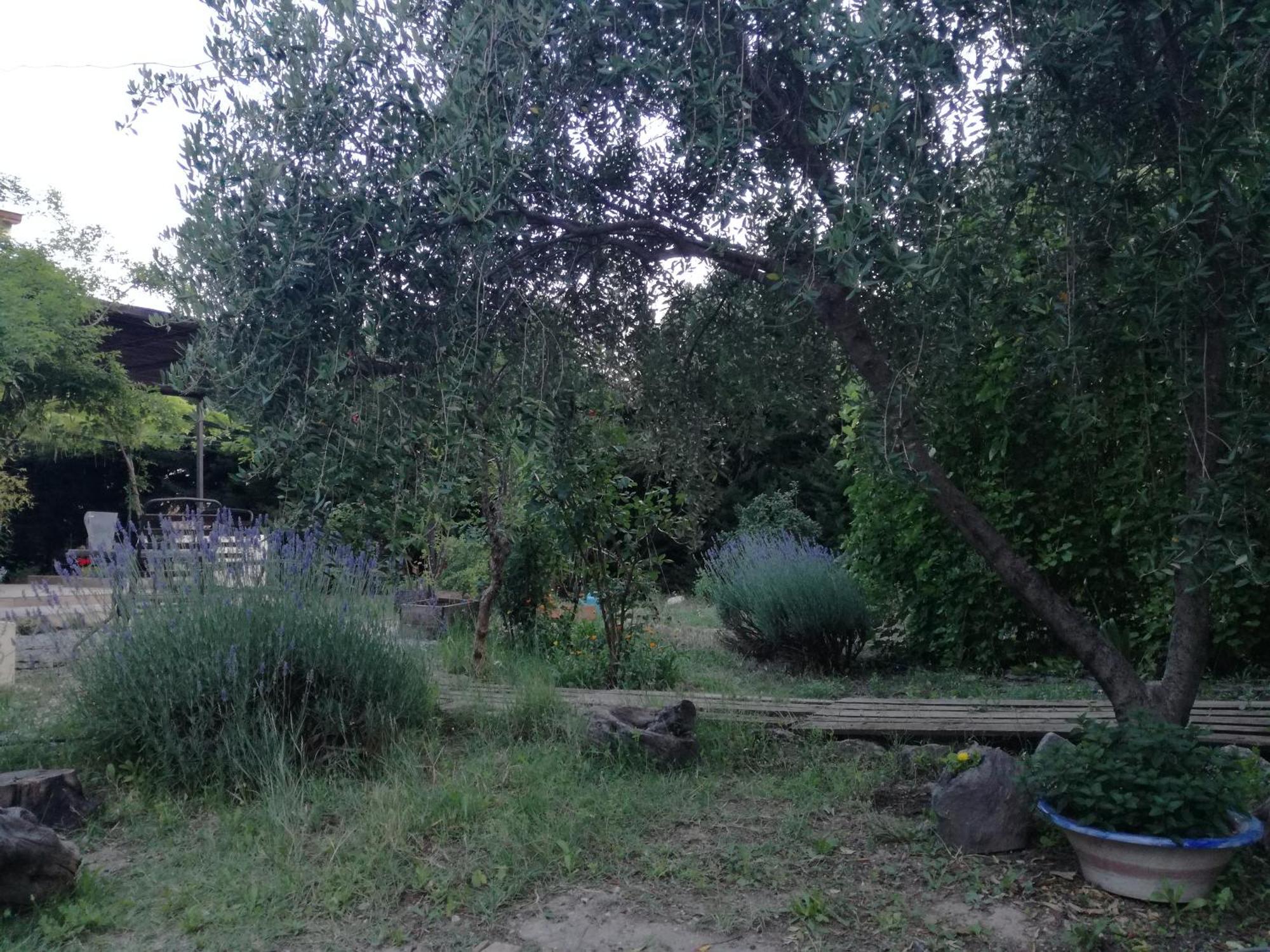 Casa Con Jardin Y Aparcamiento En Viznar, Junto A Granadaヴィラ エクステリア 写真