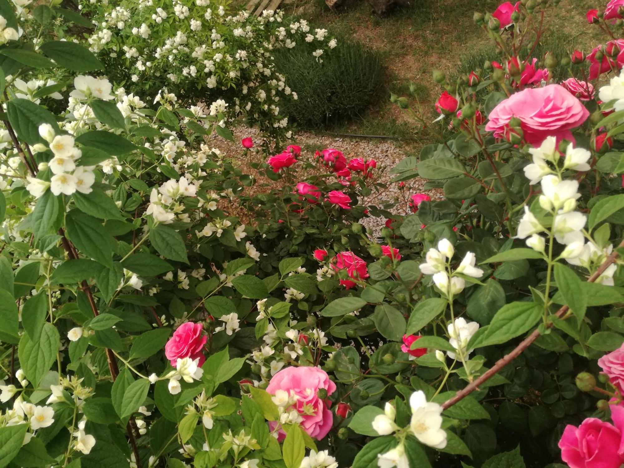 Casa Con Jardin Y Aparcamiento En Viznar, Junto A Granadaヴィラ エクステリア 写真