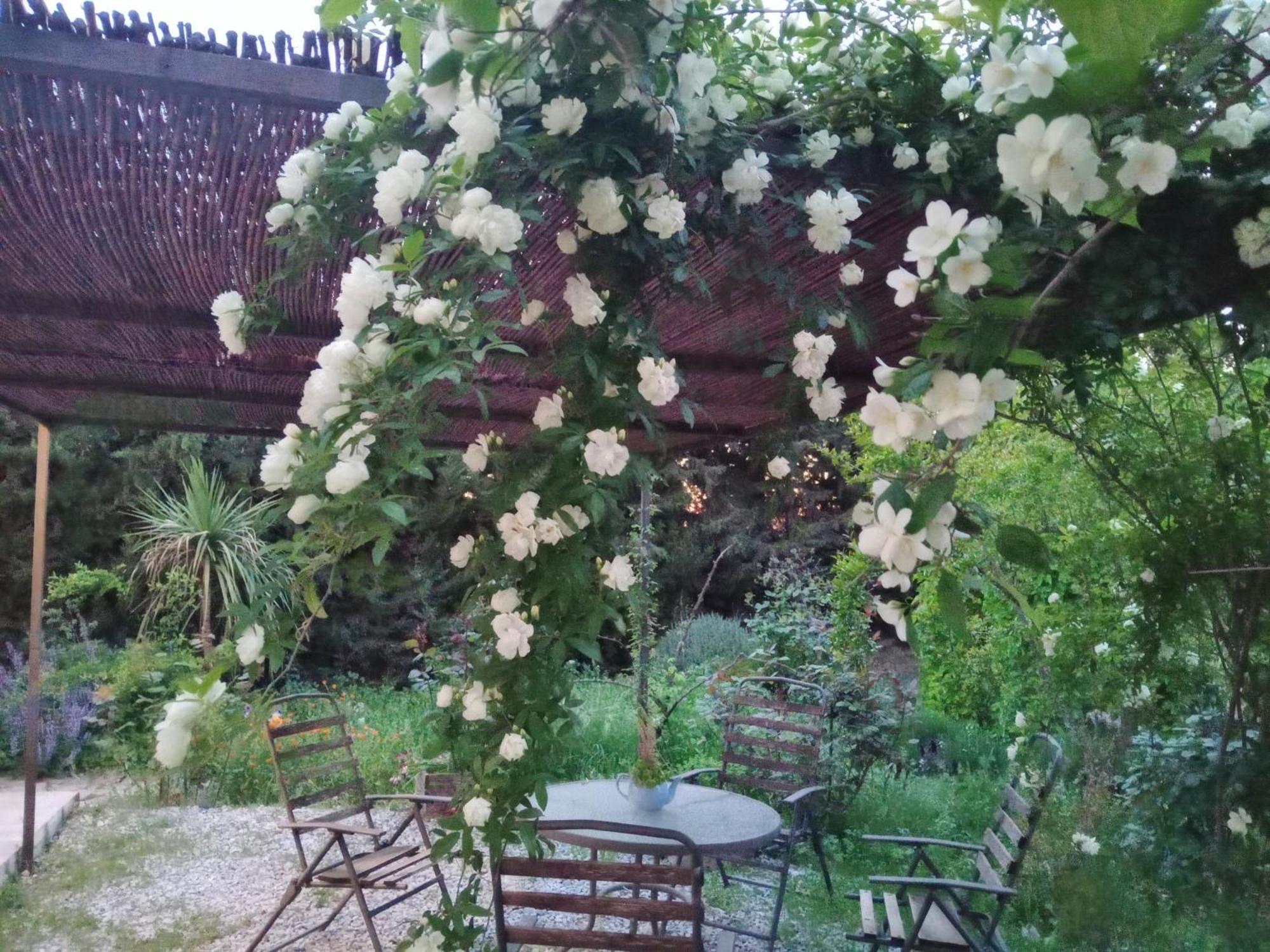 Casa Con Jardin Y Aparcamiento En Viznar, Junto A Granadaヴィラ エクステリア 写真
