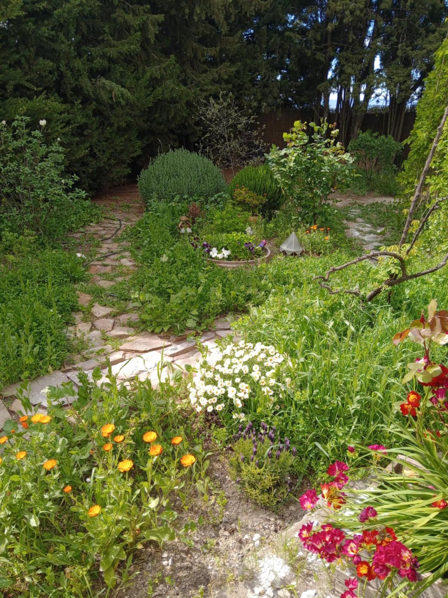 Casa Con Jardin Y Aparcamiento En Viznar, Junto A Granadaヴィラ エクステリア 写真