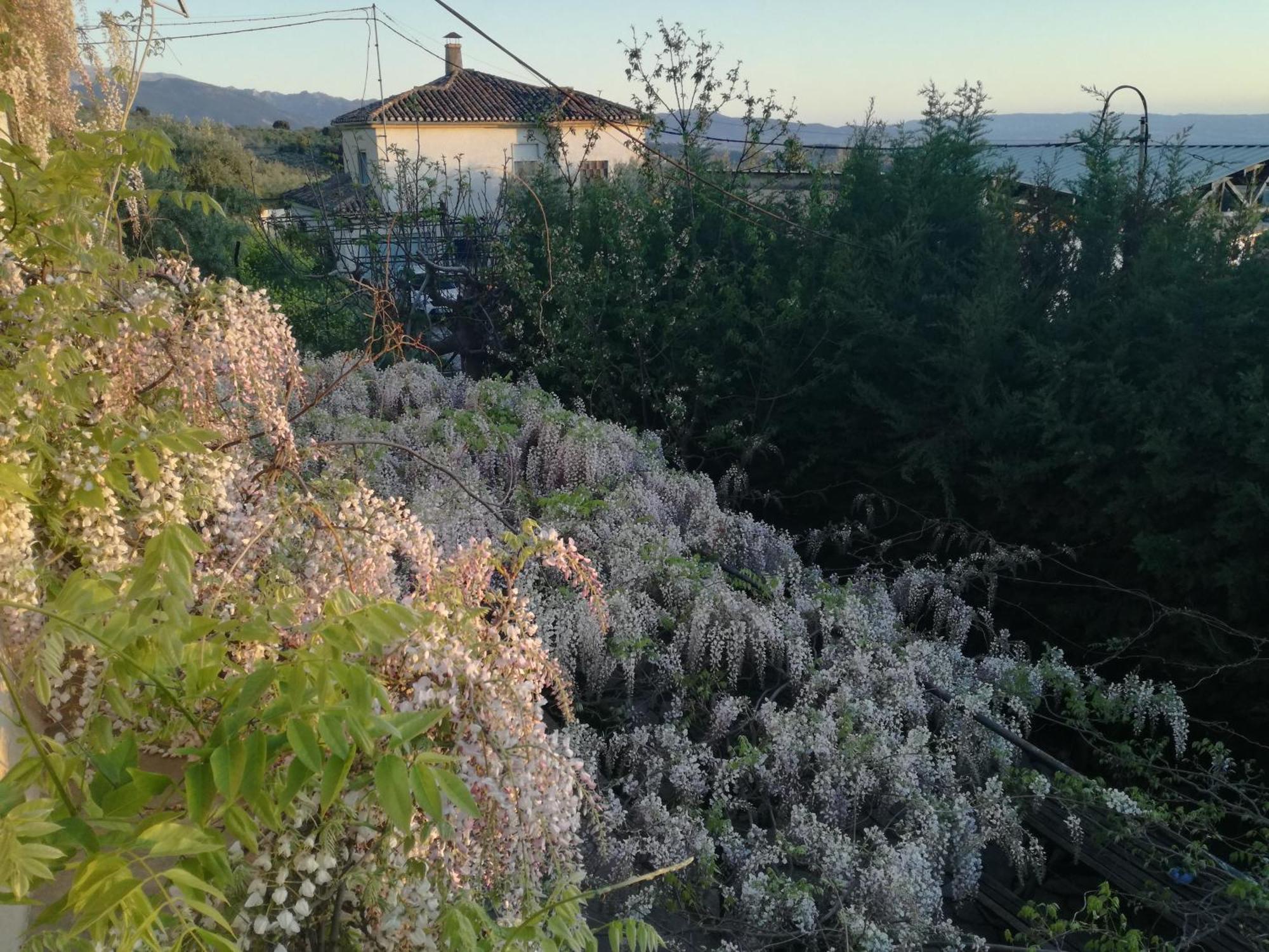Casa Con Jardin Y Aparcamiento En Viznar, Junto A Granadaヴィラ エクステリア 写真