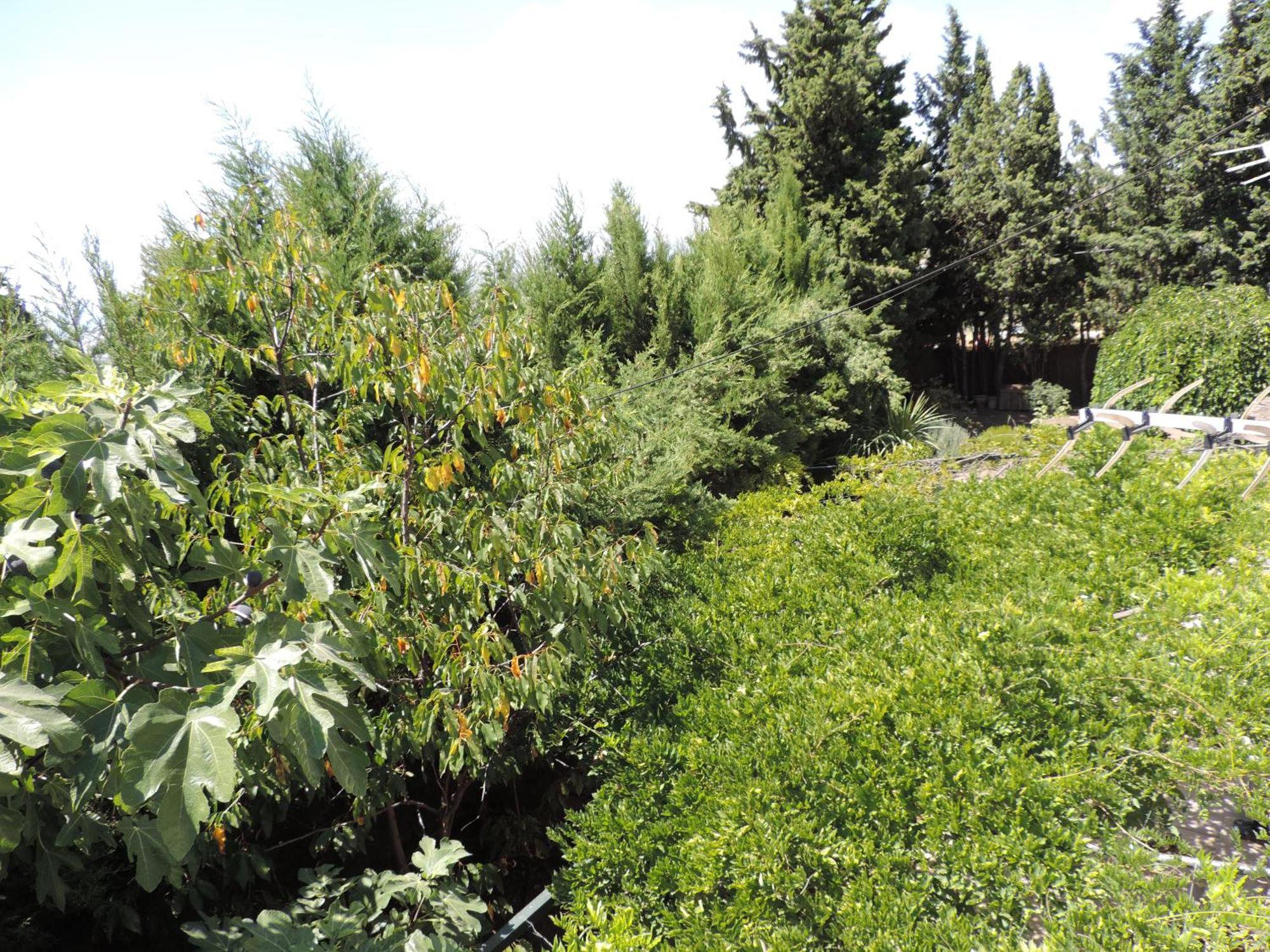 Casa Con Jardin Y Aparcamiento En Viznar, Junto A Granadaヴィラ エクステリア 写真